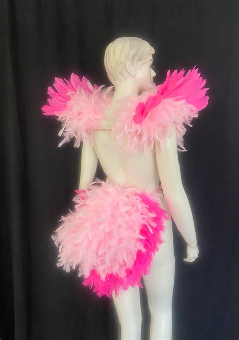 flamingo wings costume|More.